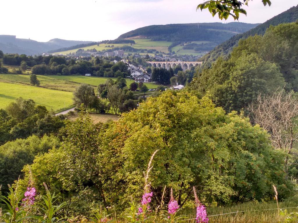 Ricken House La Rose Appartement Willingen (Upland)
