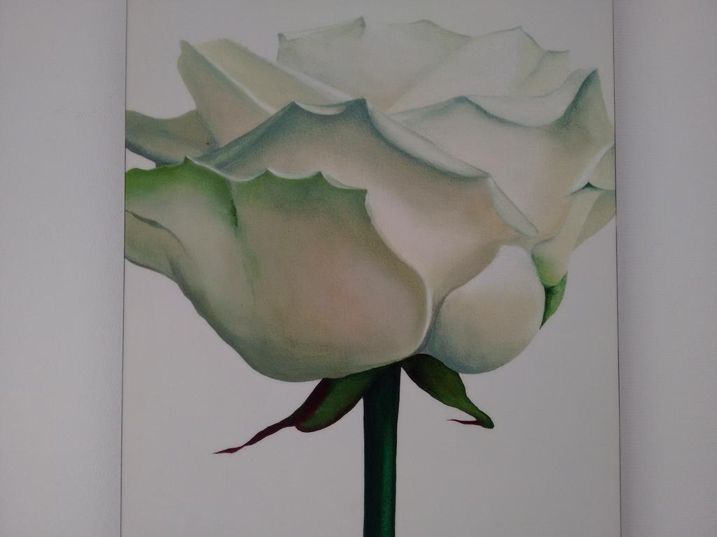 Apartment Ricken House La Rose *