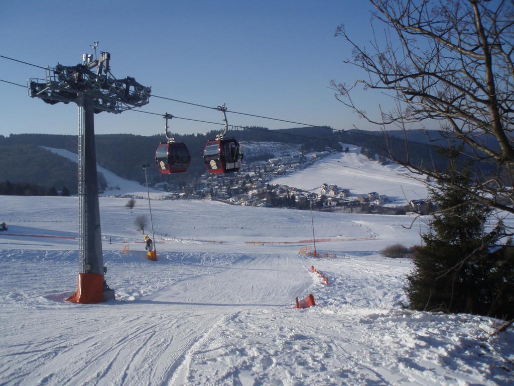 Appartement Ricken House La Rose Willingen (Upland)